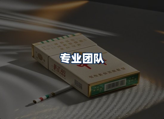 专业团队